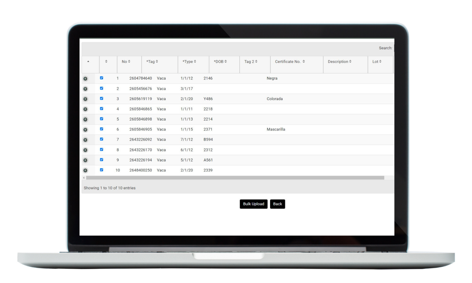 bulk upload mockup 2