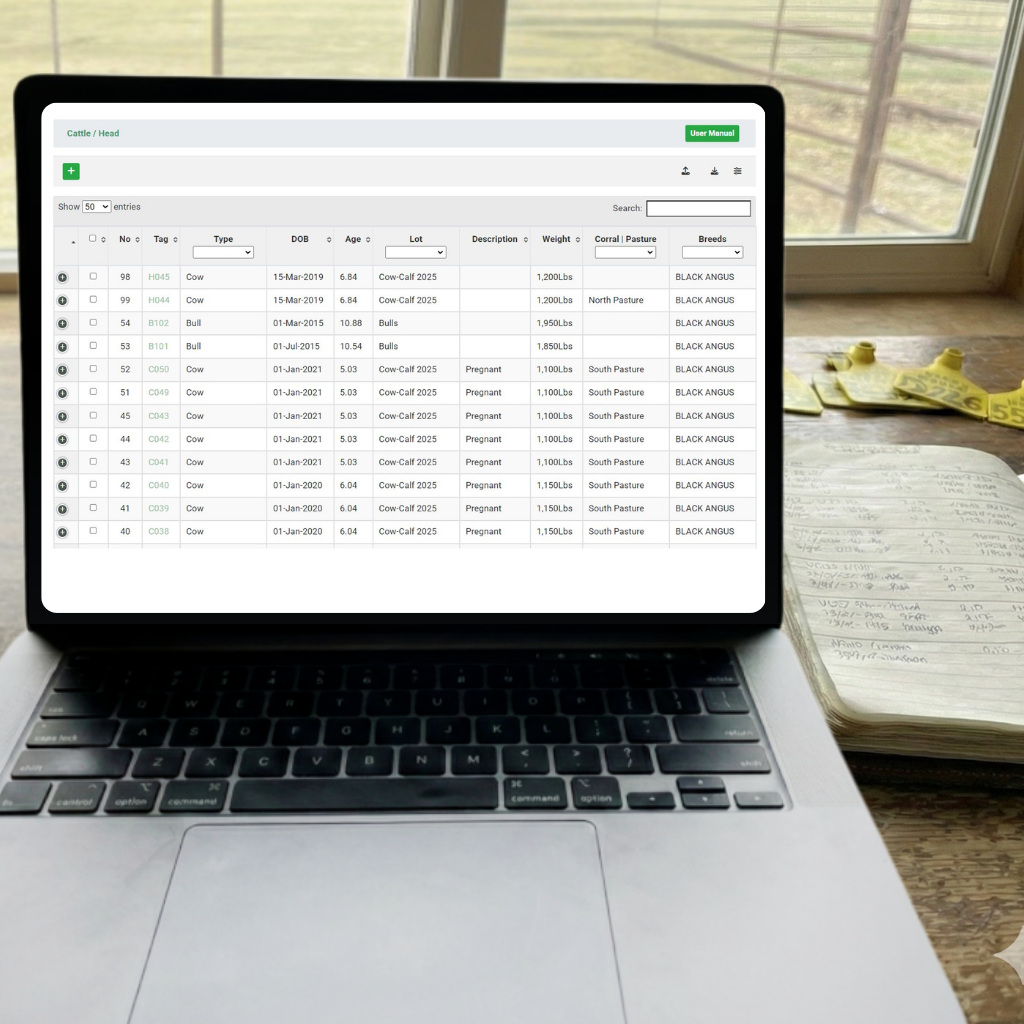 home page mobile heroimage blank screen